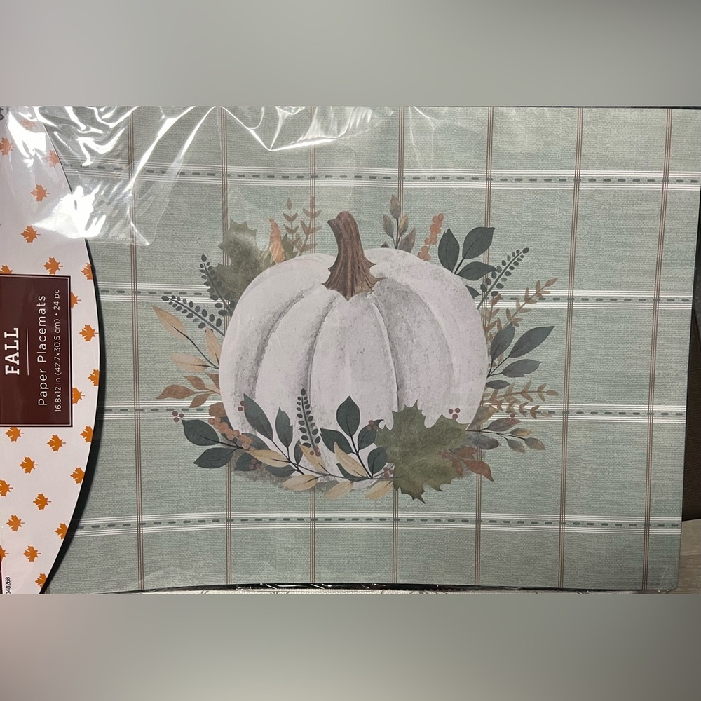 NWT-🍁🎃 24 Beautiful Pumpkin Placemats